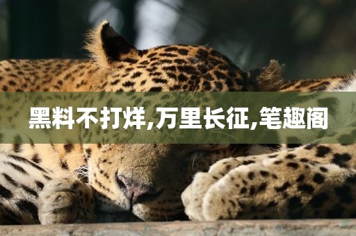 黑料不打烊,万里长征,笔趣阁
