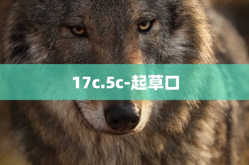17c.5c-起草口