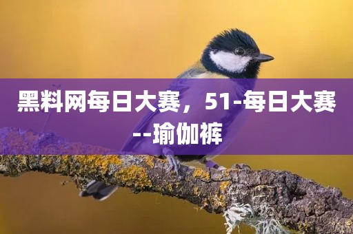 黑料网每日大赛，51-每日大赛--瑜伽裤