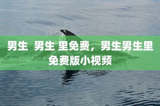 男生  男生 里免费，男生男生里免费版小视频