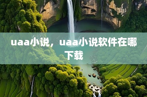 uaa小说，uaa小说软件在哪下载