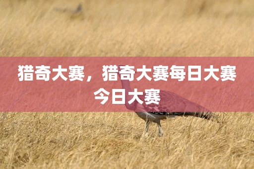 猎奇大赛，猎奇大赛每日大赛今日大赛