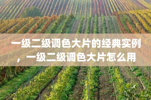 一级二级调色大片的经典实例，一级二级调色大片怎么用