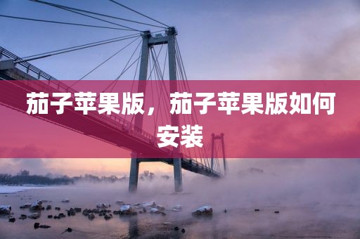 茄子苹果版，茄子苹果版如何安装