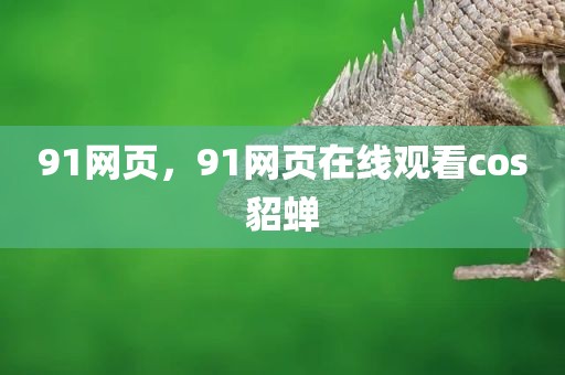 91网页，91网页在线观看cos貂蝉