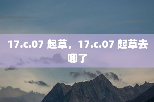 17.c.07 起草，17.c.07 起草去哪了