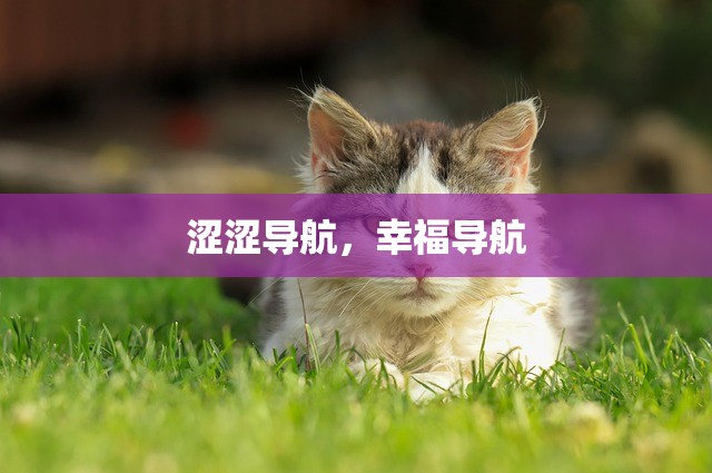 涩涩导航，幸福导航