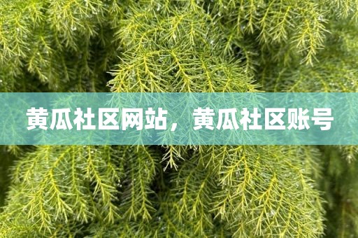 黄瓜社区网站，黄瓜社区账号