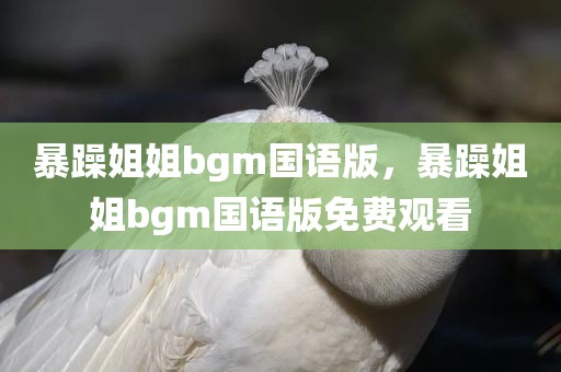 暴躁姐姐bgm国语版，暴躁姐姐bgm国语版免费观看