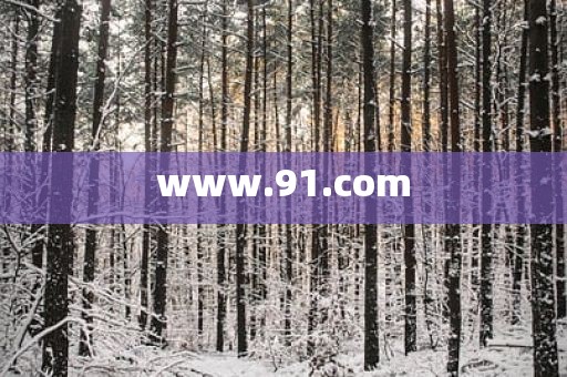 www.91.com
