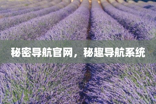 秘密导航官网，秘趣导航系统