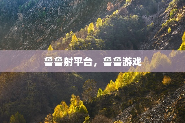 鲁鲁射平台，鲁鲁游戏