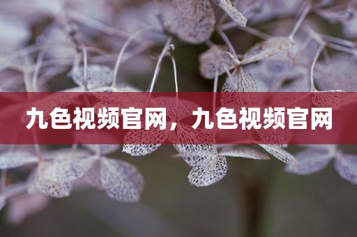 九色视频官网，九色视频官网