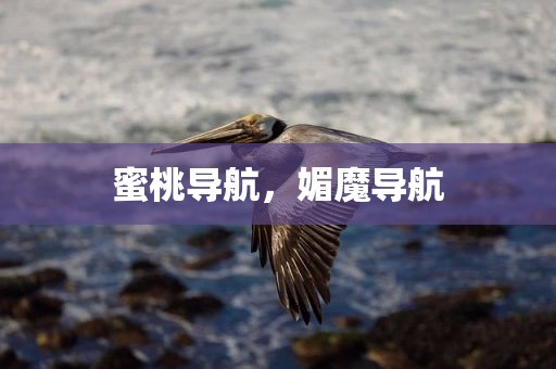 蜜桃导航，媚魔导航