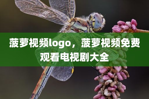 菠萝视频logo，菠萝视频免费观看电视剧大全