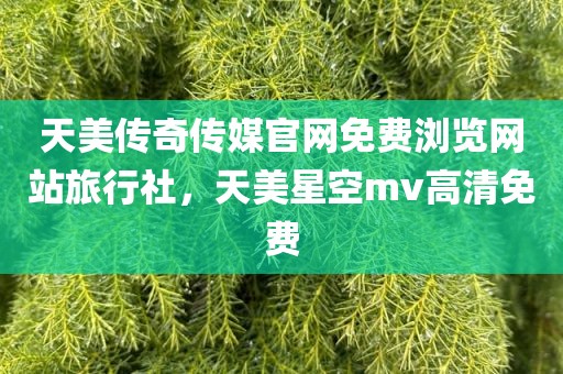 天美传奇传媒官网免费浏览网站旅行社，天美星空mv高清免费