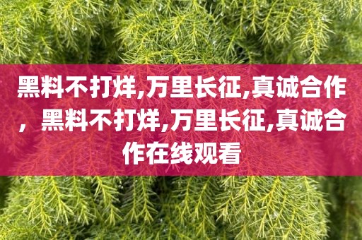 黑料不打烊,万里长征,真诚合作，黑料不打烊,万里长征,真诚合作在线观看