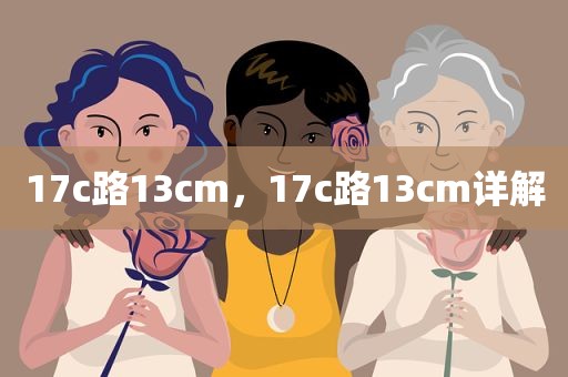 17c路13cm，17c路13cm详解