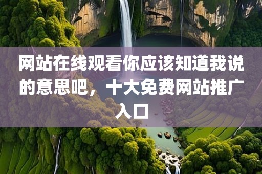 网站在线观看你应该知道我说的意思吧，十大免费网站推广入口