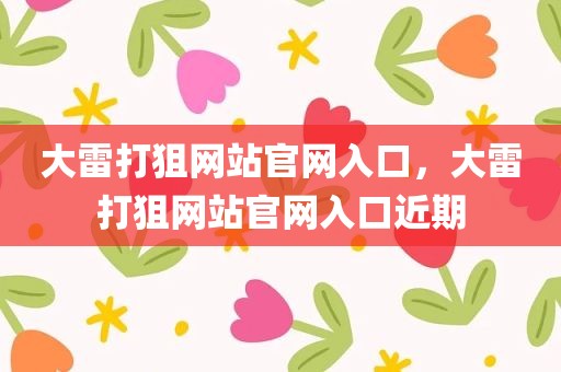 大雷打狙网站官网入口，大雷打狙网站官网入口近期