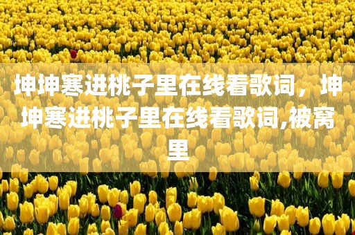 坤坤寒进桃子里在线看歌词，坤坤寒进桃子里在线看歌词,被窝里