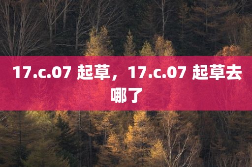 17.c.07 起草，17.c.07 起草去哪了
