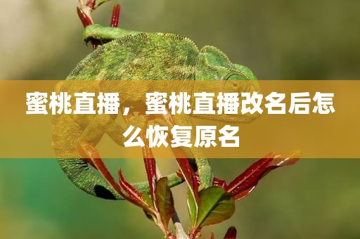 蜜桃直播，蜜桃直播改名后怎么恢复原名