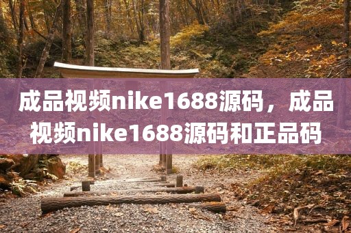成品视频nike1688源码，成品视频nike1688源码和正品码