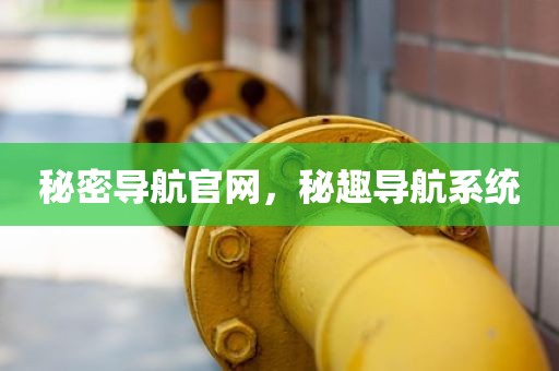 秘密导航官网，秘趣导航系统