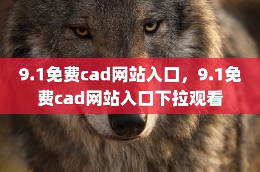 9.1免费cad网站入口，9.1免费cad网站入口下拉观看