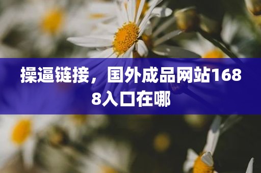 操逼链接，国外成品网站1688入口在哪