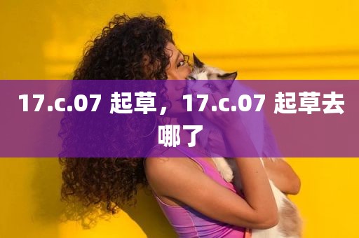 17.c.07 起草，17.c.07 起草去哪了