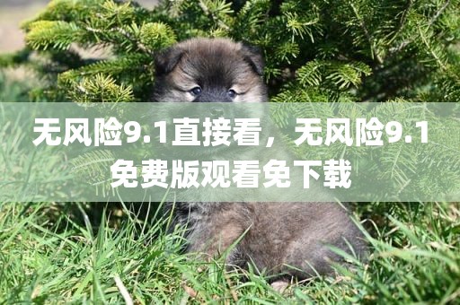 无风险9.1直接看，无风险9.1免费版观看免下载