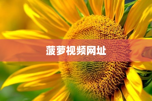 菠萝视频网址
