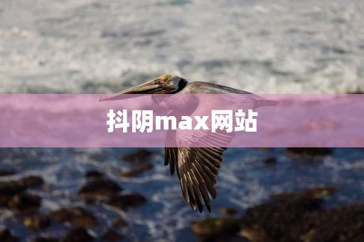 抖阴max网站