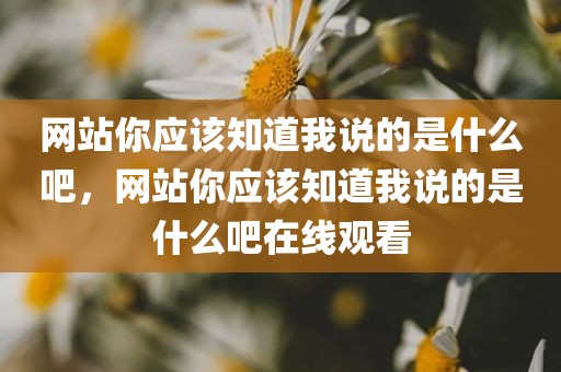 网站你应该知道我说的是什么吧，网站你应该知道我说的是什么吧在线观看