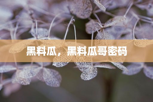 黑料瓜，黑料瓜哥密码