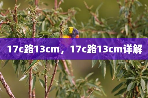 17c路13cm，17c路13cm详解