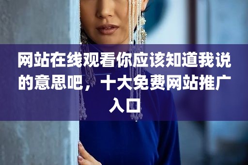 网站在线观看你应该知道我说的意思吧，十大免费网站推广入口