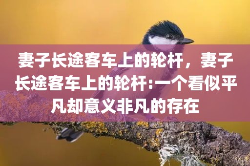 妻子长途客车上的轮杆，妻子长途客车上的轮杆:一个看似平凡却意义非凡的存在