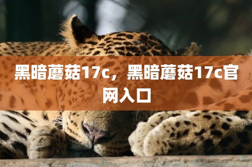黑暗蘑菇17c，黑暗蘑菇17c官网入口