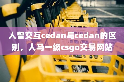 人曾交互cedan与cedan的区别，人马一级csgo交易网站