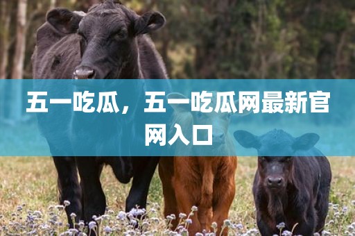 五一吃瓜，五一吃瓜网最新官网入口