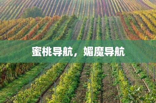 蜜桃导航，媚魔导航