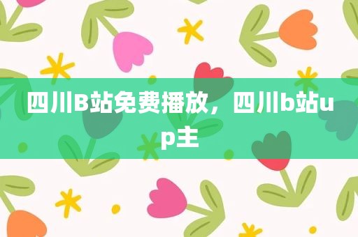 四川B站免费播放，四川b站up主