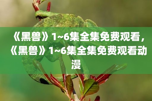 《黑兽》1~6集全集免费观看，《黑兽》1~6集全集免费观看动漫