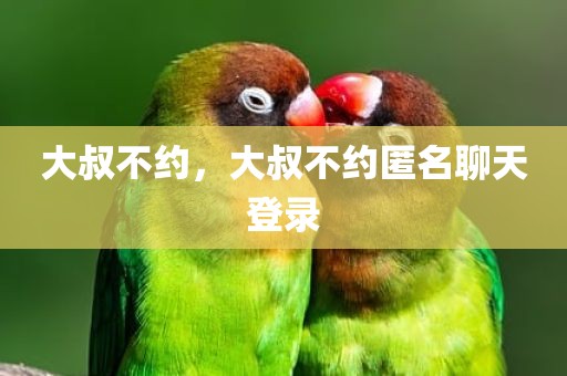 大叔不约，大叔不约匿名聊天登录