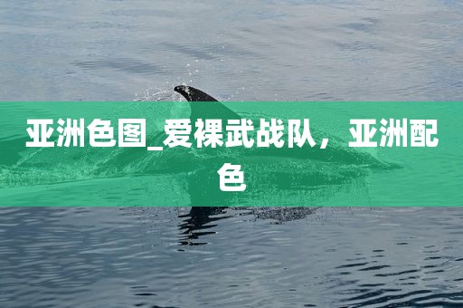 亚洲色图_爱裸武战队，亚洲配色