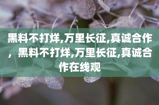黑料不打烊,万里长征,真诚合作，黑料不打烊,万里长征,真诚合作在线观