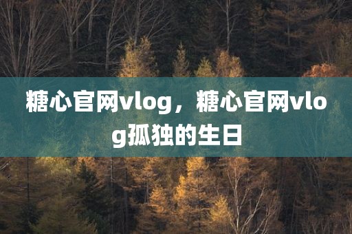 糖心官网vlog，糖心官网vlog孤独的生日
